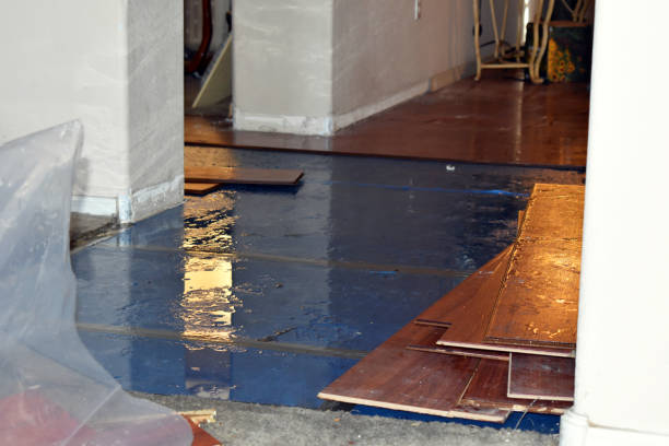 Professional Water Extraction technician working in Porter Ranch, CA